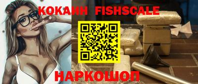 гашик Камышлов