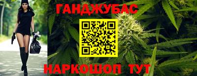 гашик Камышлов