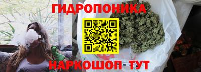 ПСИЛОЦИБИНОВЫЕ ГРИБЫ Канаш