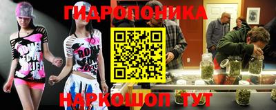 гашик Камышлов