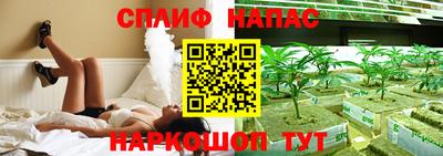 гашик Камышлов