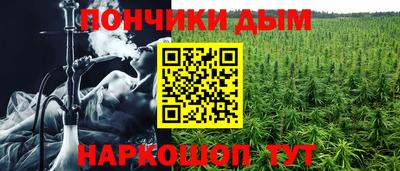 гашик Камышлов