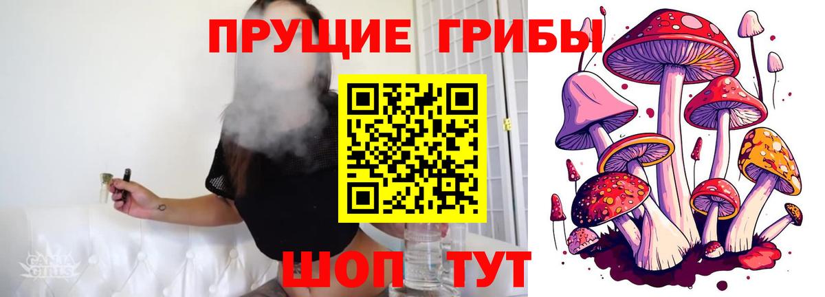 где купить наркотик  Псилоцибиновые грибы ЛСД  Вход с VPN  Кумертау 
